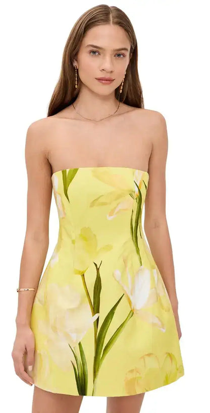 Golden Meadow Mini Dress
