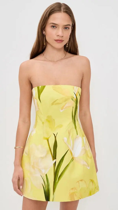 Golden Meadow Mini Dress