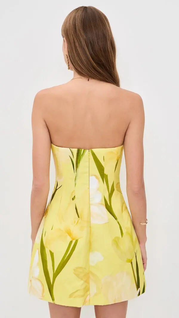 Golden Meadow Mini Dress