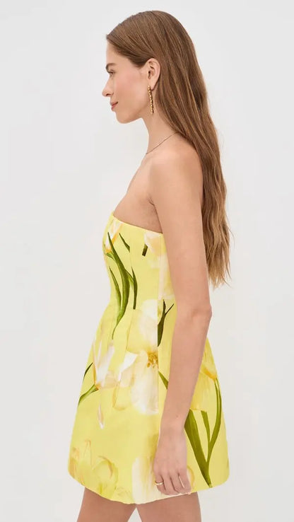 Golden Meadow Mini Dress