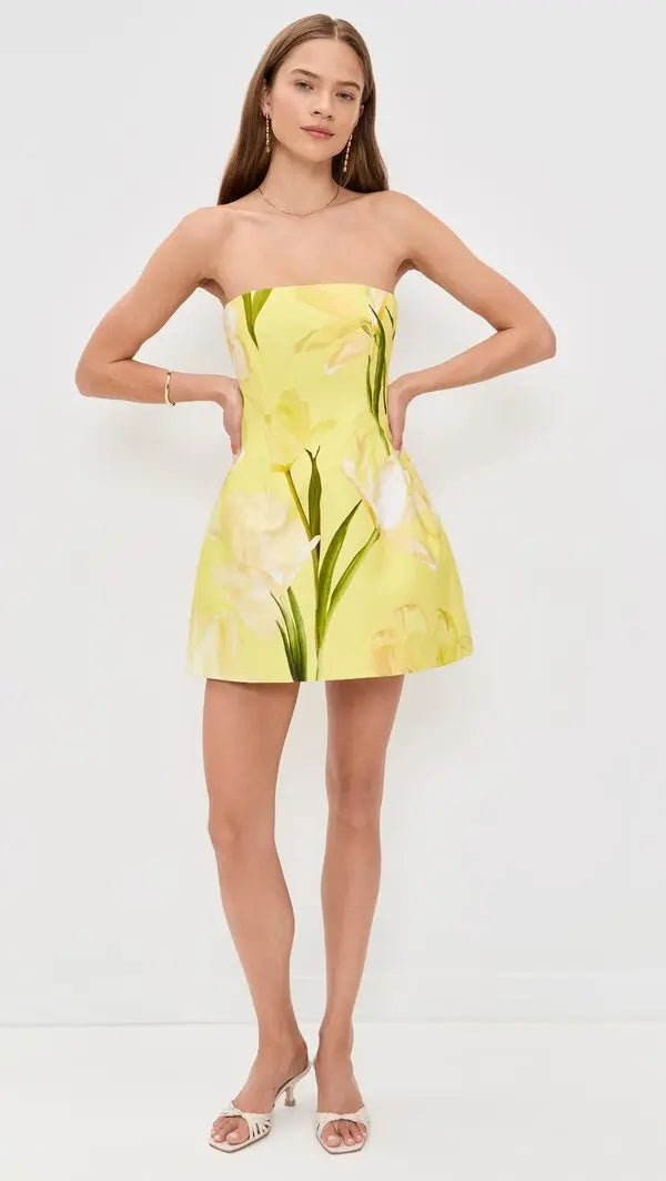 Golden Meadow Mini Dress