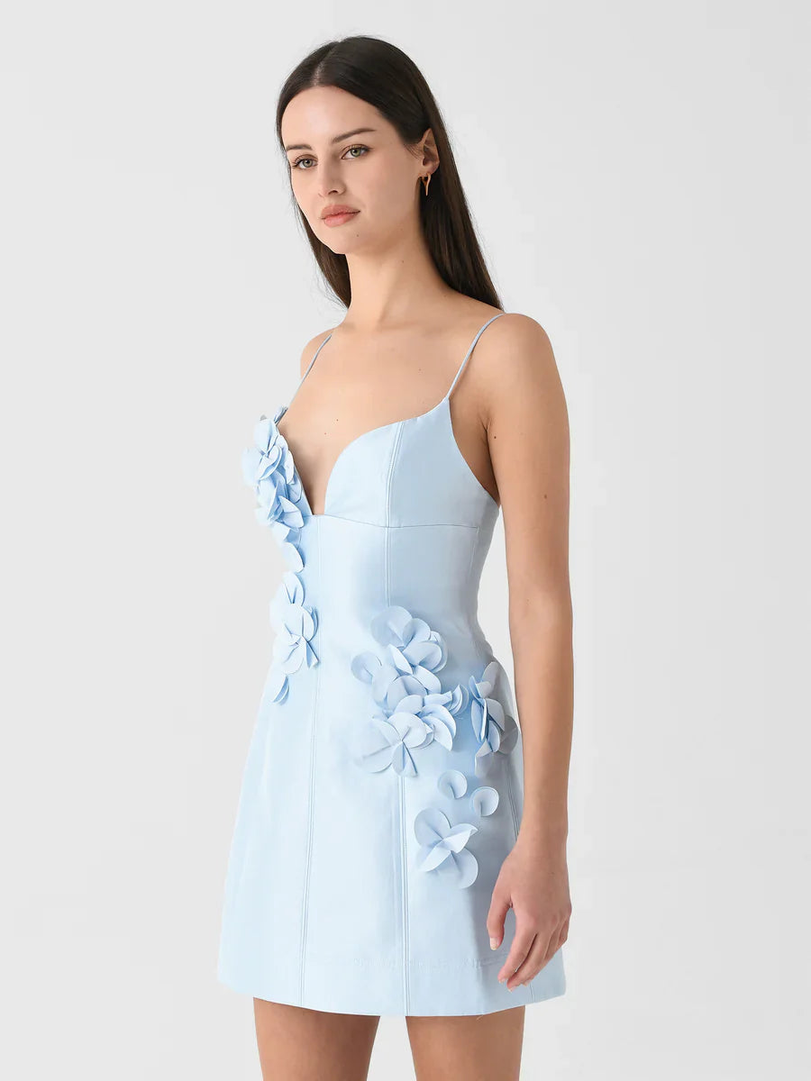Blue Bloom Mini Dress