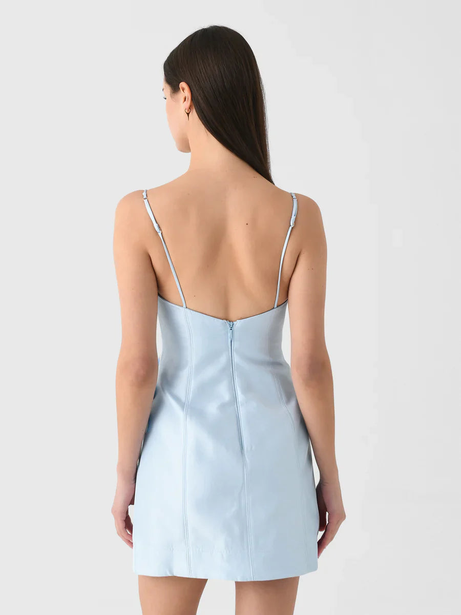 Blue Bloom Mini Dress