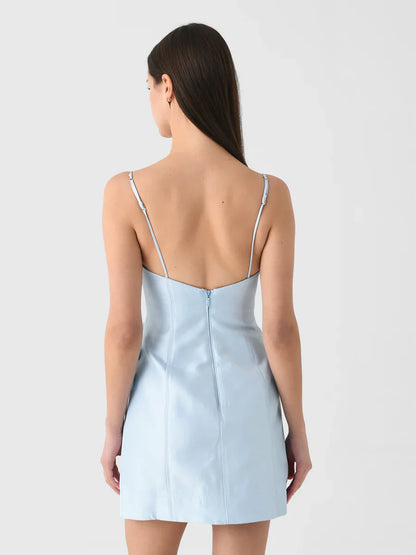 Blue Bloom Mini Dress