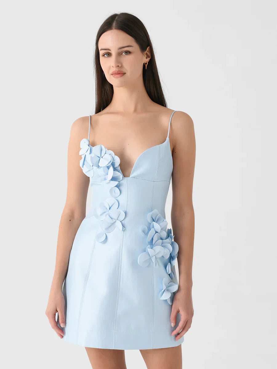 Blue Bloom Mini Dress